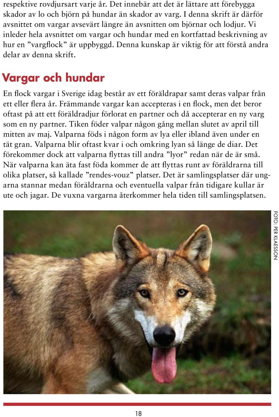 Vi inleder hela avsnittet om vargar och hundar med en kortfattad beskrivning av hur en vargflock är uppbyggd. Denna kunskap är viktig för att förstå andra delar av denna skrift.