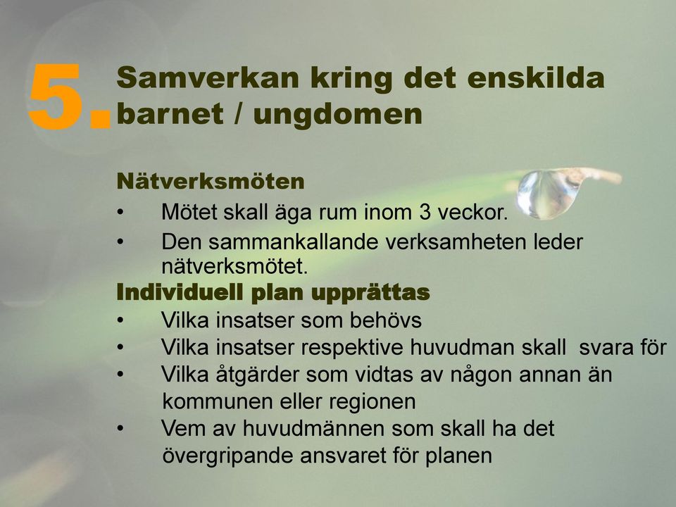 Individuell plan upprättas Vilka insatser som behövs Vilka insatser respektive huvudman skall