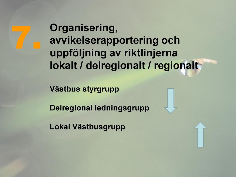 delregionalt / regionalt Västbus