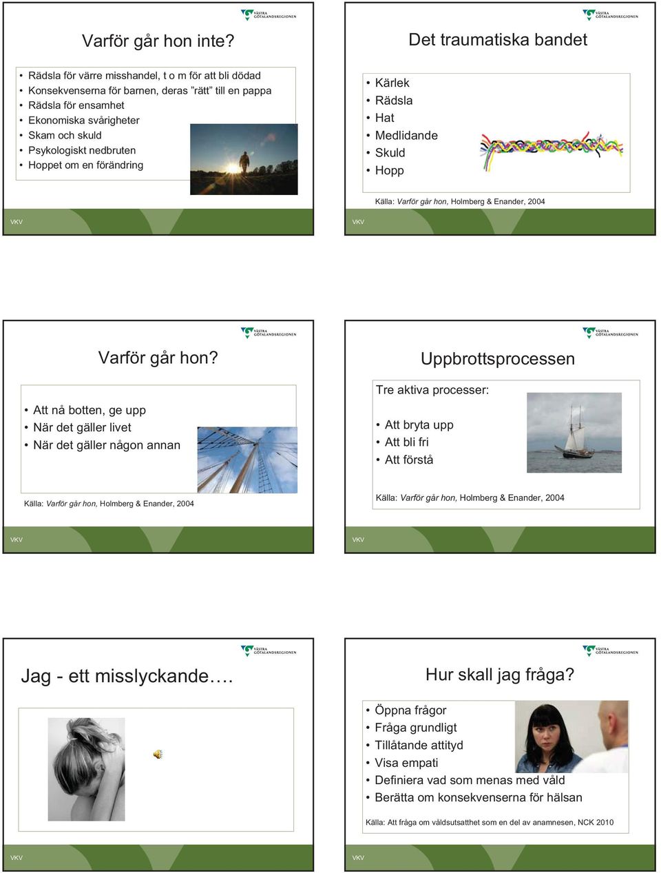 nedbruten Hoppet om en förändring Kärlek Rädsla Hat Medlidande Skuld Hopp Källa: Varför går hon, Holmberg & Enander, 2004 Varför går hon?