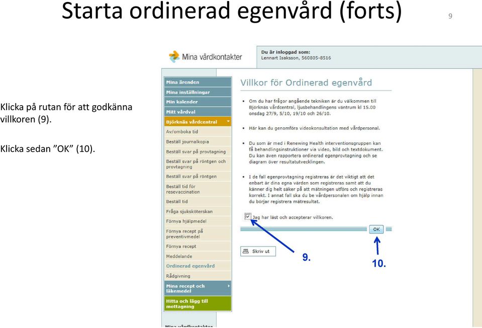 att godkänna villkoren (9).