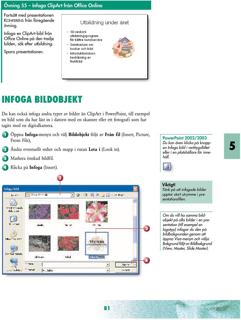INFOGA BILDOBJEKT Du kan också infoga andra typer av bilder än ClipArt i PowerPoint, till exempel en bild som du har läst in i datorn med en skanner eller ett fotografi som har tagits med en