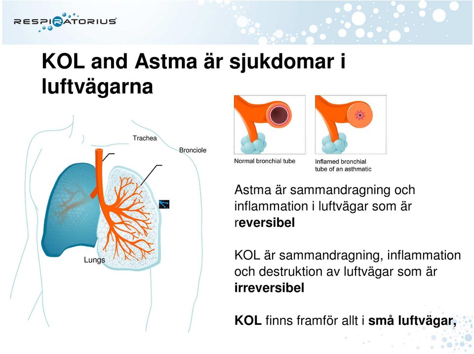 Lungs KOL är sammandragning, inflammation och destruktion av