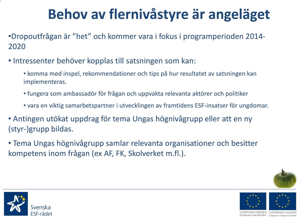 fungera som ambassadör för frågan och uppvakta relevanta aktörer och politiker vara en viktig samarbetspartner i utvecklingen av framtidens ESF-insatser för