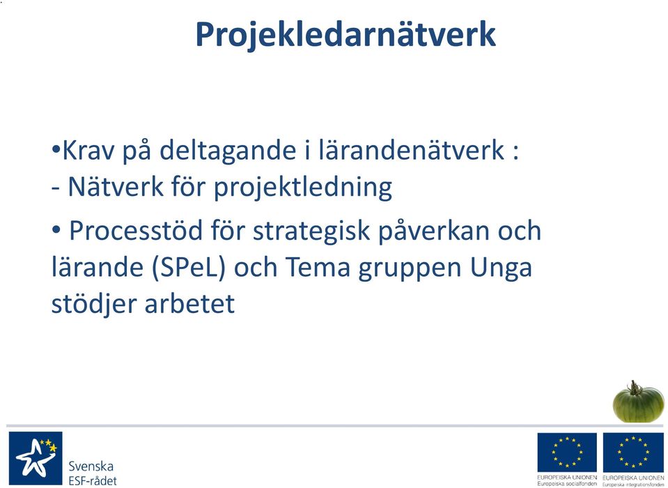 projektledning Processtöd för strategisk