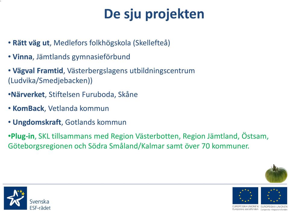 Furuboda, Skåne KomBack, Vetlanda kommun Ungdomskraft, Gotlands kommun Plug-in, SKL tillsammans med