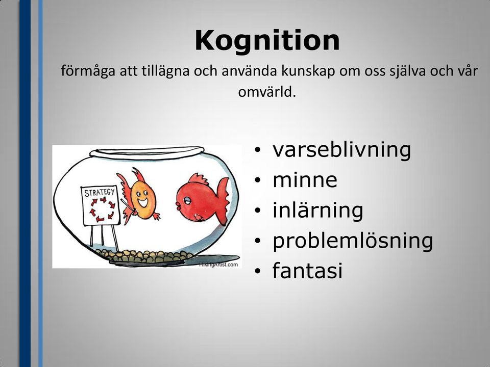 och vår omvärld.