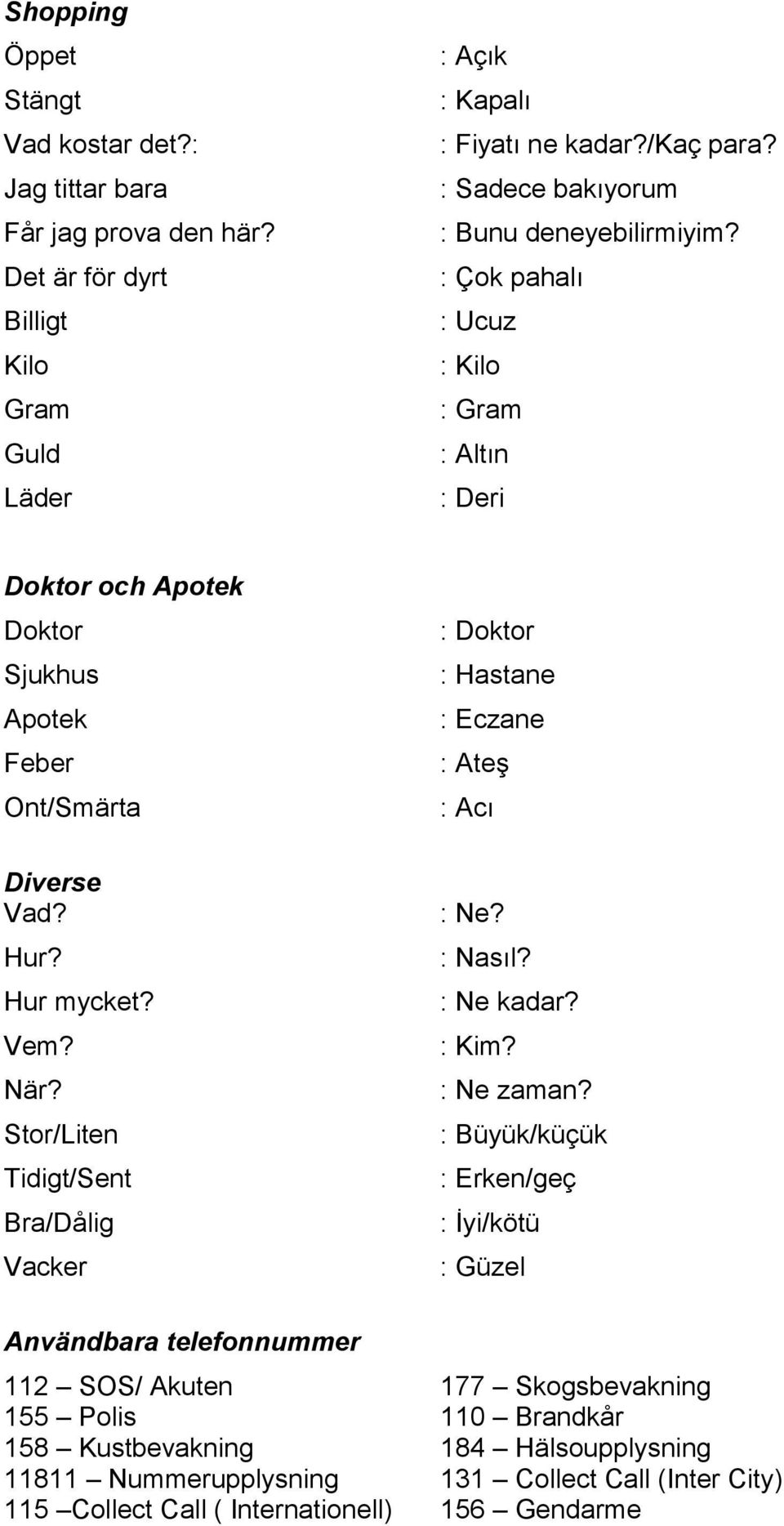 När? Stor/Liten Tidigt/Sent Bra/Dålig Vacker : Doktor : Hastane : Eczane : Ateş : Acı : Ne? : Nasıl? : Ne kadar? : Kim? : Ne zaman?