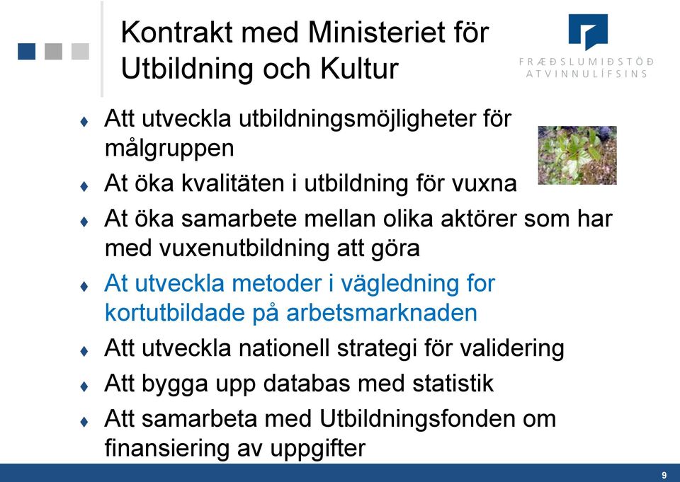 At utveckla metoder i vägledning for kortutbildade på arbetsmarknaden Att utveckla nationell strategi för