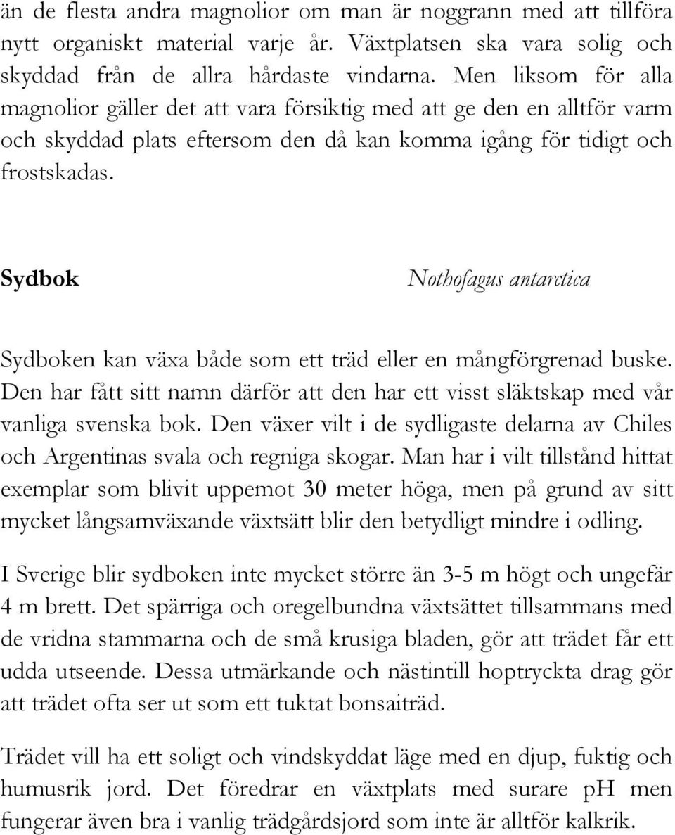 Sydbok Nothofagus antarctica Sydboken kan växa både som ett träd eller en mångförgrenad buske. Den har fått sitt namn därför att den har ett visst släktskap med vår vanliga svenska bok.