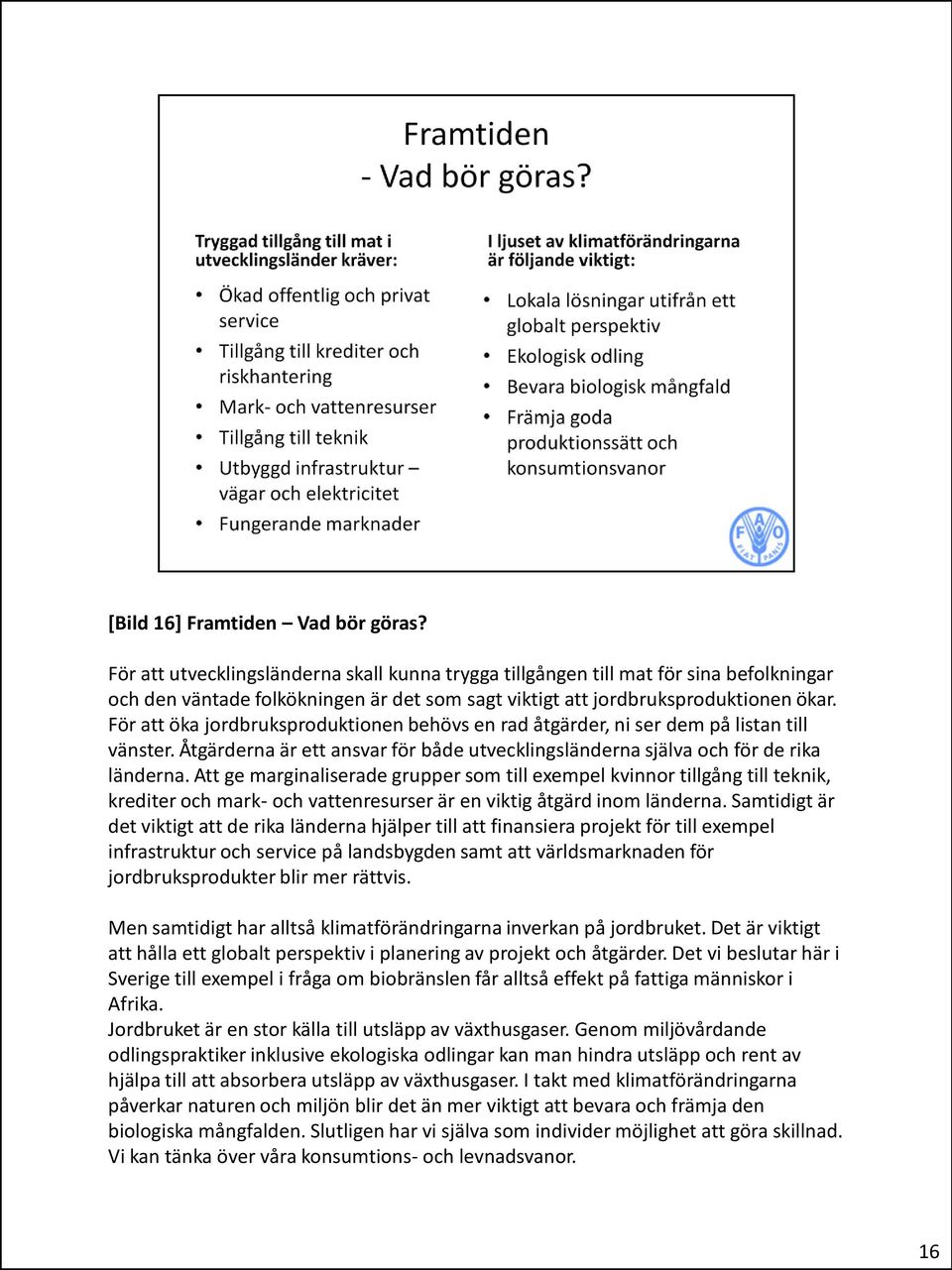 För att öka jordbruksproduktionen behövs en rad åtgärder, ni ser dem på listan till vänster. Åtgärderna är ett ansvar för både utvecklingsländerna själva och för de rika länderna.