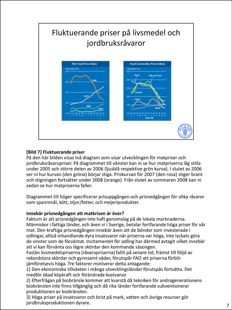 Priskurvan för 2007 (den rosa) stiger brant och stigningen fortsätter under 2008 (orange). Från slutet av sommaren 2008 kan ni sedan se hur matpriserna faller.