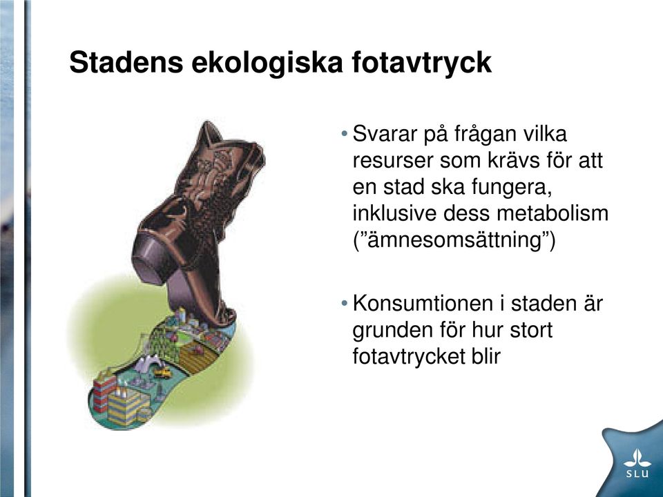 inklusive dess metabolism ( ämnesomsättning )