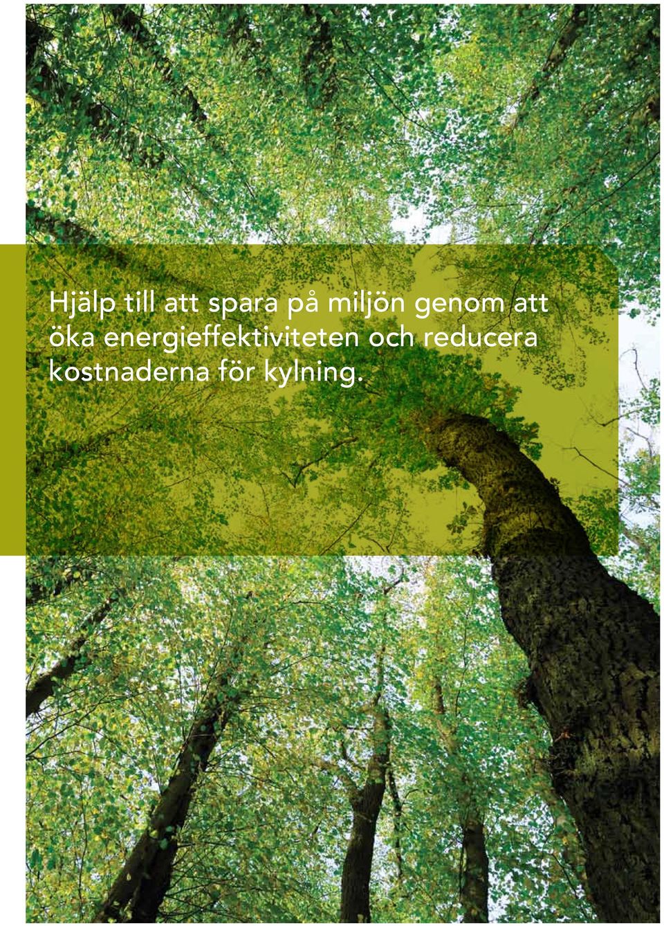 energieffektiviteten och
