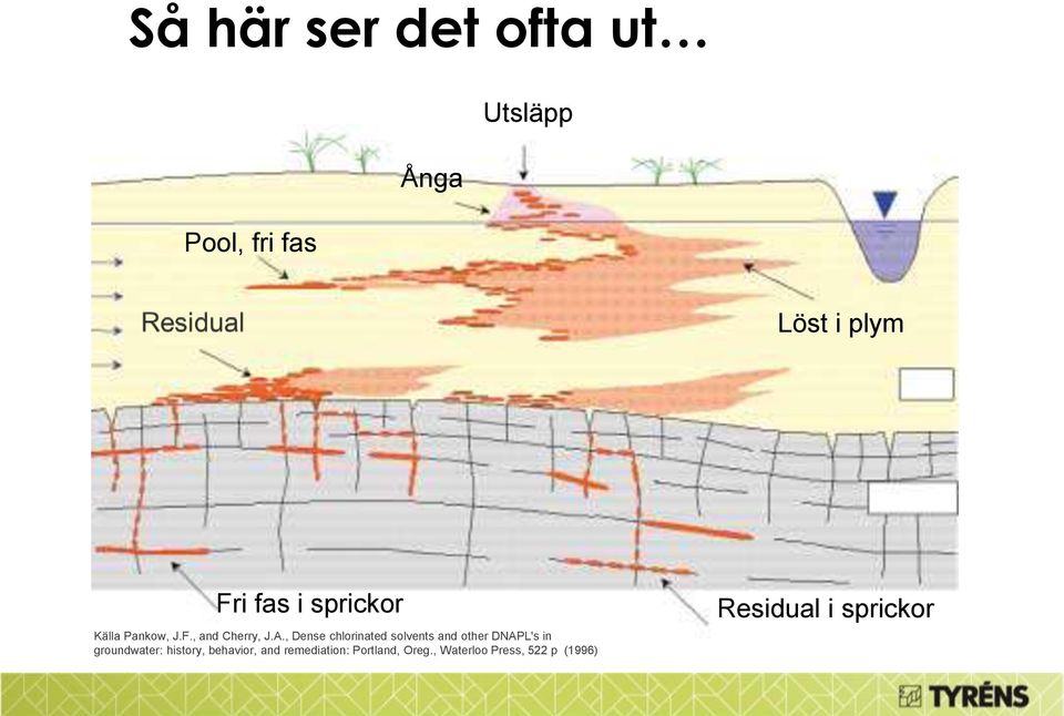 , Dense chlorinated solvents and other DNAPL's in groundwater: