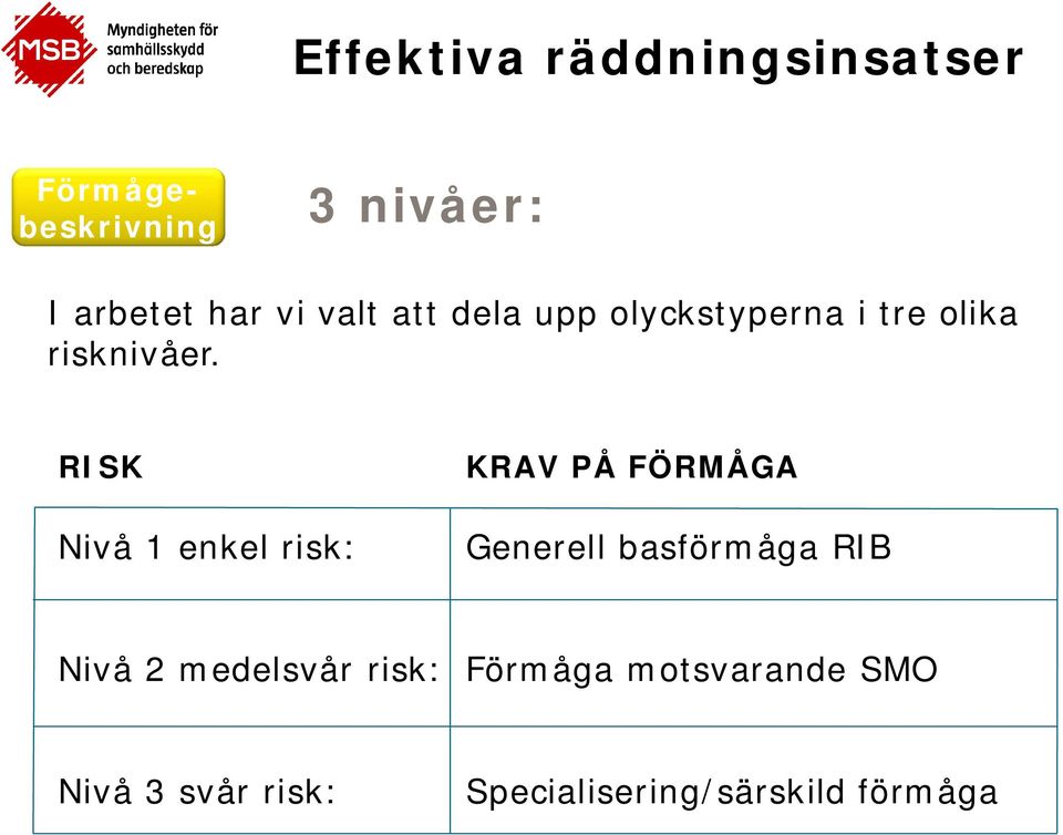 RISK Nivå 1 enkel risk: KRAV PÅ FÖRMÅGA Generell basförmåga RIB