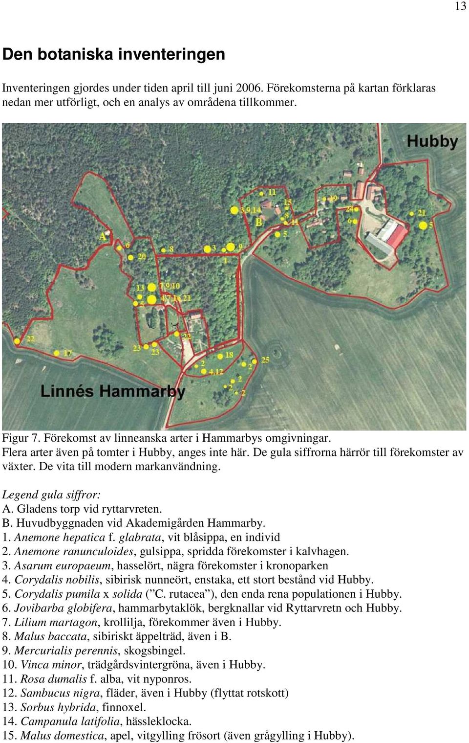 Legend gula siffror: A. Gladens torp vid ryttarvreten. B. Huvudbyggnaden vid Akademigården Hammarby. 1. Anemone hepatica f. glabrata, vit blåsippa, en individ 2.