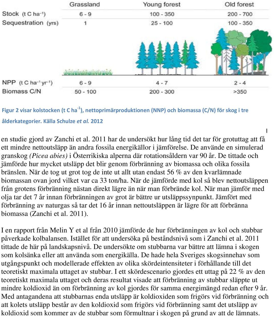 De använde en simulerad granskog (Picea abies) i Österrikiska alperna där rotationsåldern var 90 år.