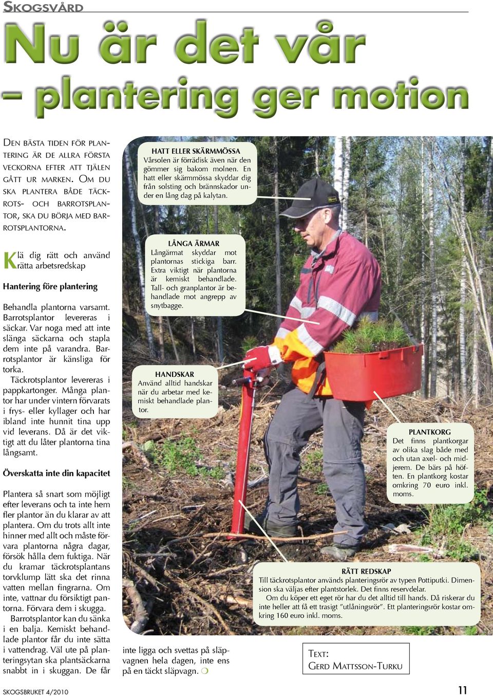 Klä dig rätt och använd rätta arbetsredskap Hantering före plantering Behandla plantorna varsamt. Barrotsplantor levereras i säckar.