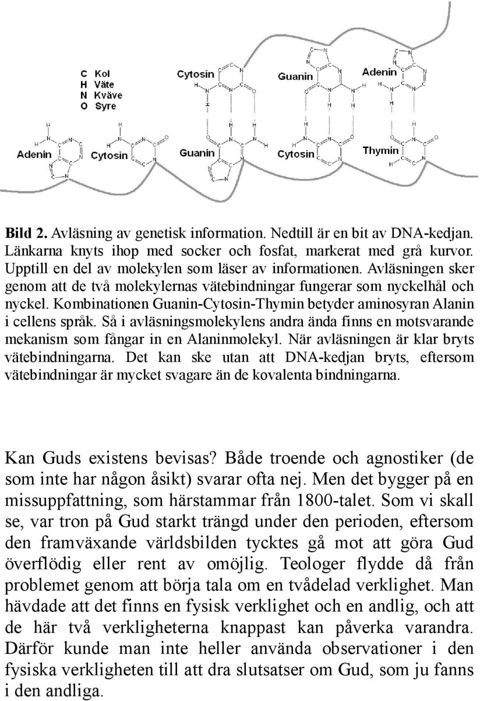 Så i avläsningsmolekylens andra ända finns en motsvarande mekanism som fångar in en Alaninmolekyl. När avläsningen är klar bryts vätebindningarna.