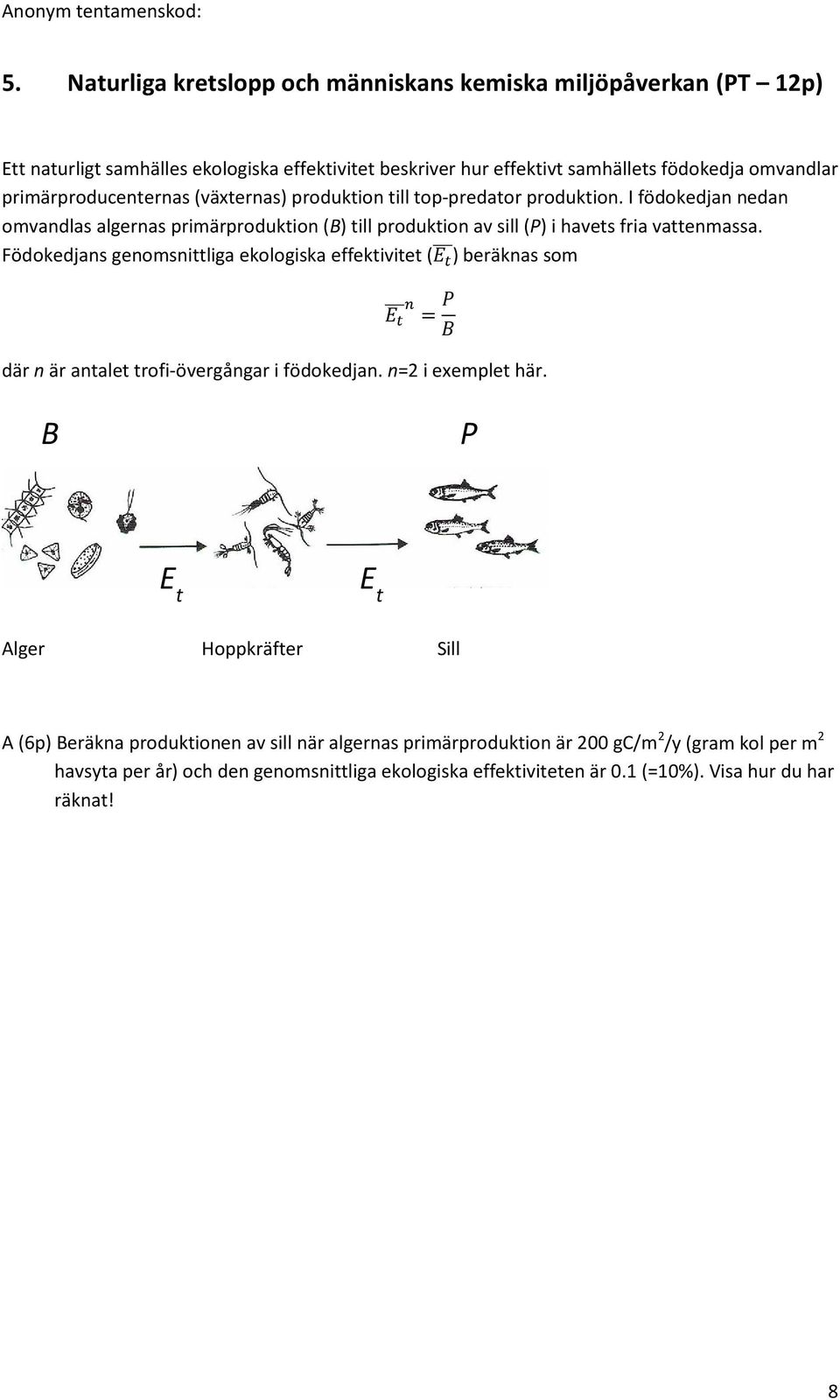 Födokedjans genomsnittliga ekologiska effektivitet (E) t beräknas som E n t = P B där n är antalet trofi-övergångar i födokedjan. n=2 i exemplet här.