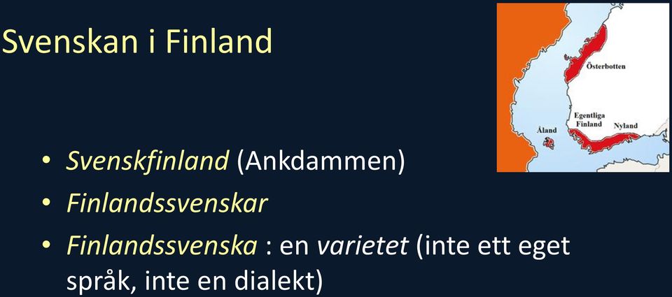 Finlandssvenska : en varietet