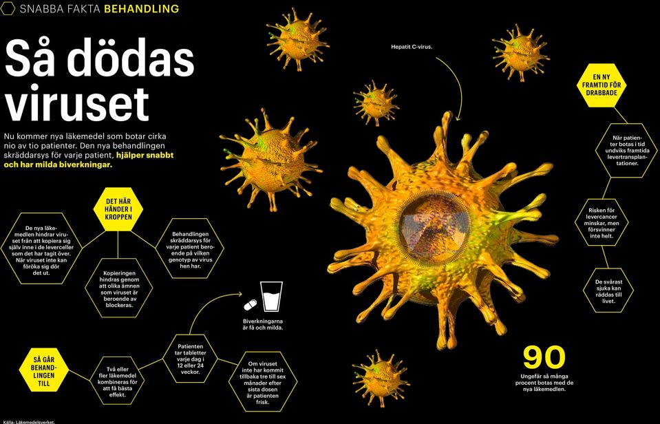 - De nya läkemedlen hindrar viruset från att kopiera sig själv inne i de leverceller som det har tagit över. När viruset inte kan föröka sig dör det ut.