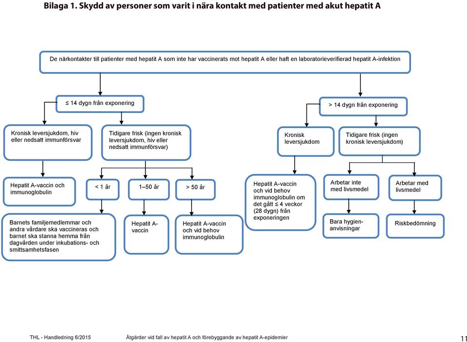 hepatit A-infektion 14 dygn från exponering > 14 dygn från exponering Kronisk leversjukdom, hiv eller nedsatt immunförsvar Tidigare frisk (ingen kronisk leversjukdom, hiv eller nedsatt immunförsvar)