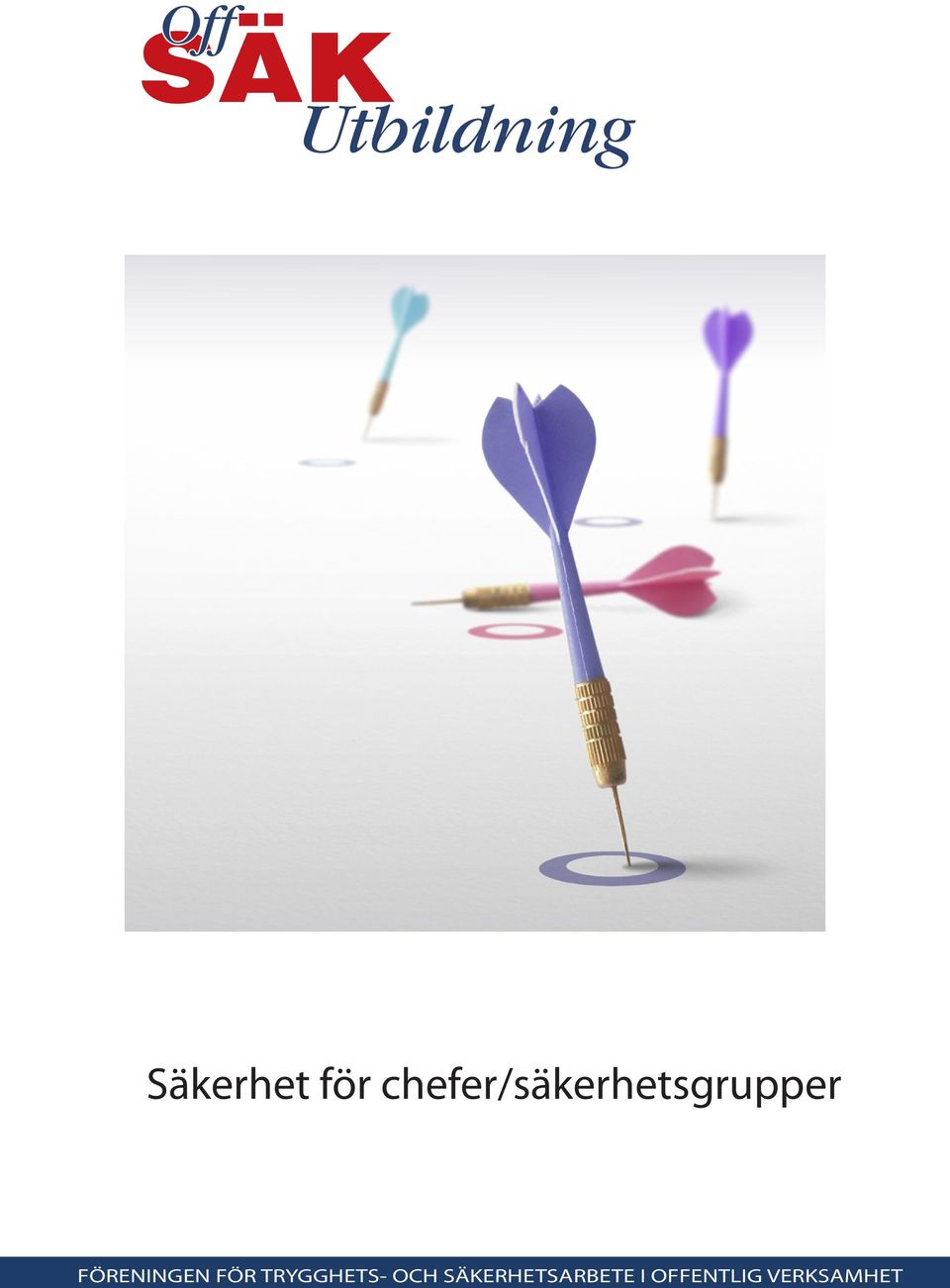i offentlig sektor