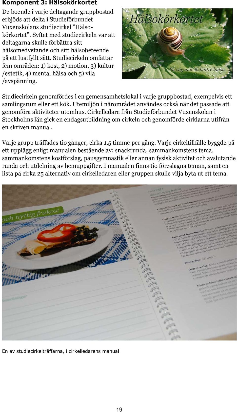 Studiecirkeln omfattar fem områden: 1) kost, 2) motion, 3) kultur /estetik, 4) mental hälsa och 5) vila /avspänning.