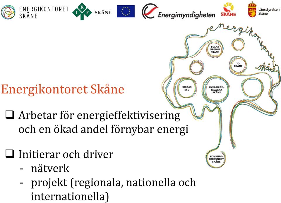 förnybar energi Initierar och driver -