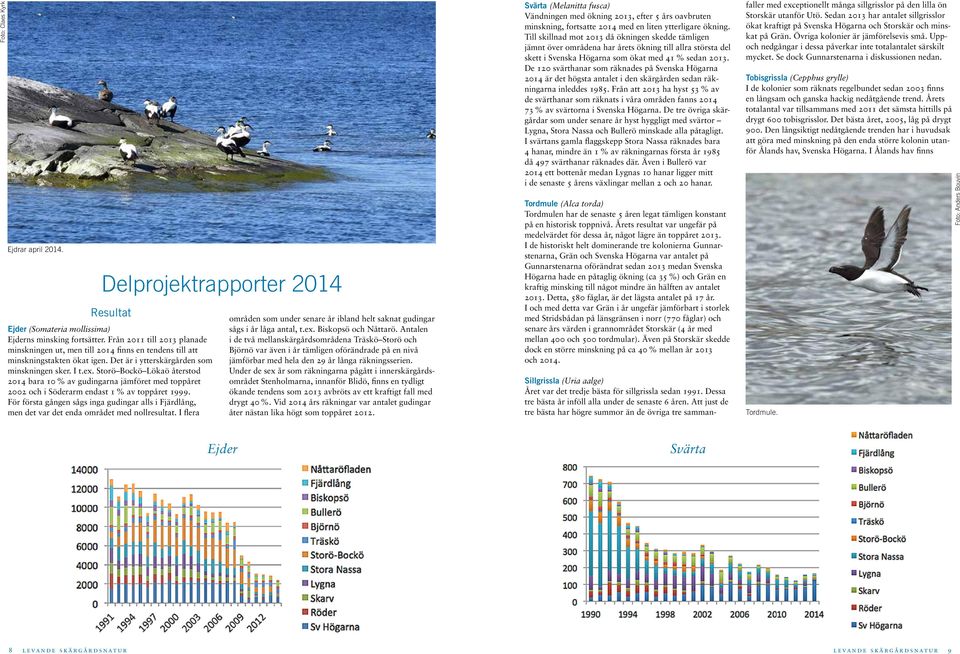 Storö Bockö Lökaö återstod 2014 bara 10 % av gudingarna jämföret med toppåret 2002 och i Söderarm endast 1 % av toppåret 1999.