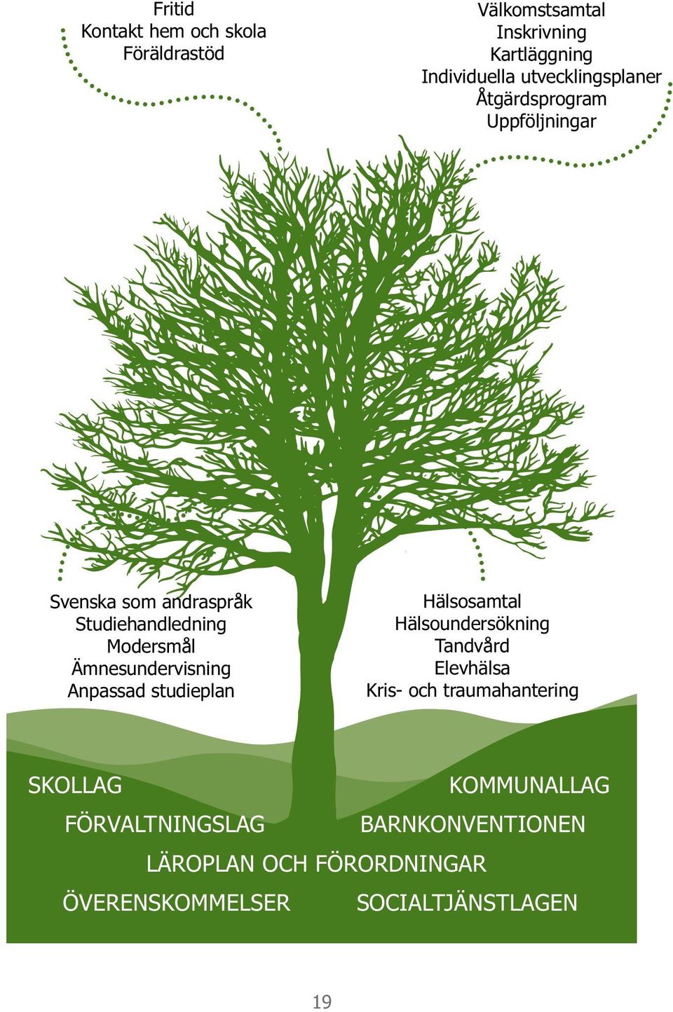 Ämnesundervisning Anpassad studieplan Hälsosamtal Hälsoundersökning Tandvård Elevhälsa Kris- och