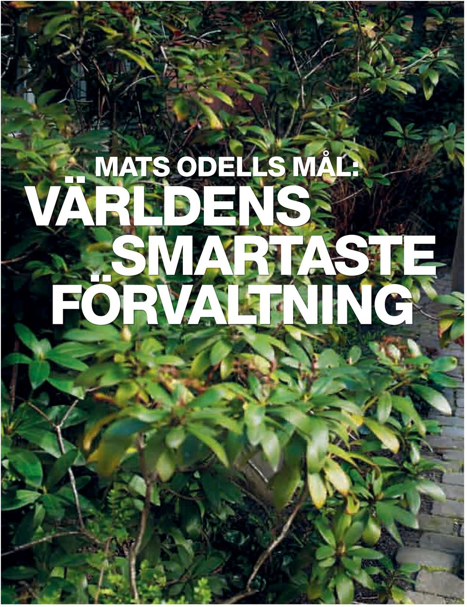 SMARTASTE FÖRVALTNING 6