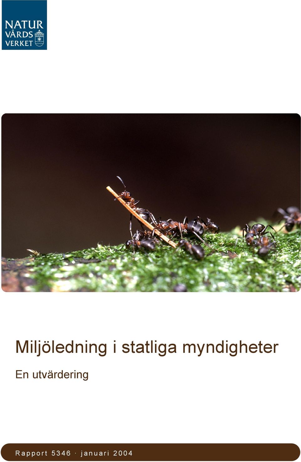 myndigheter En