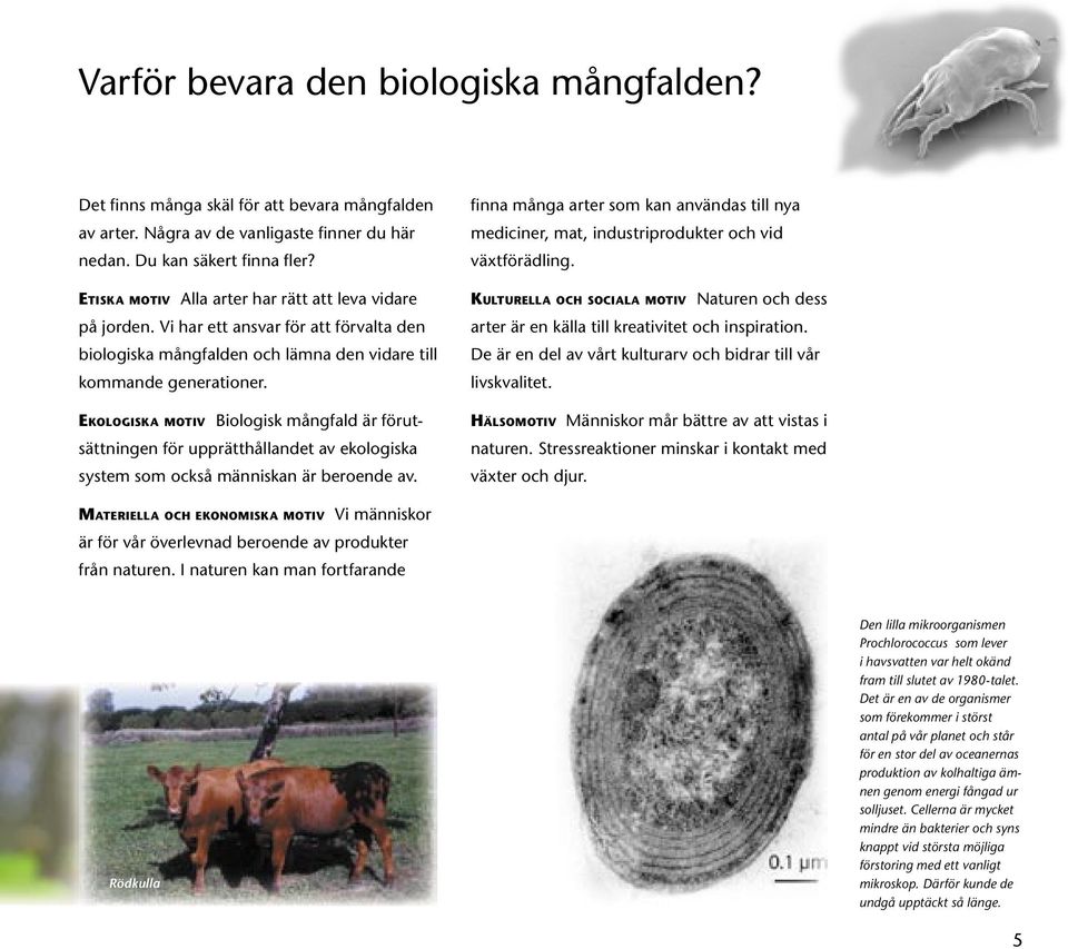 EKOLOGISKA MOTIV Biologisk mångfald är förutsättningen för upprätthållandet av ekologiska system som också människan är beroende av.