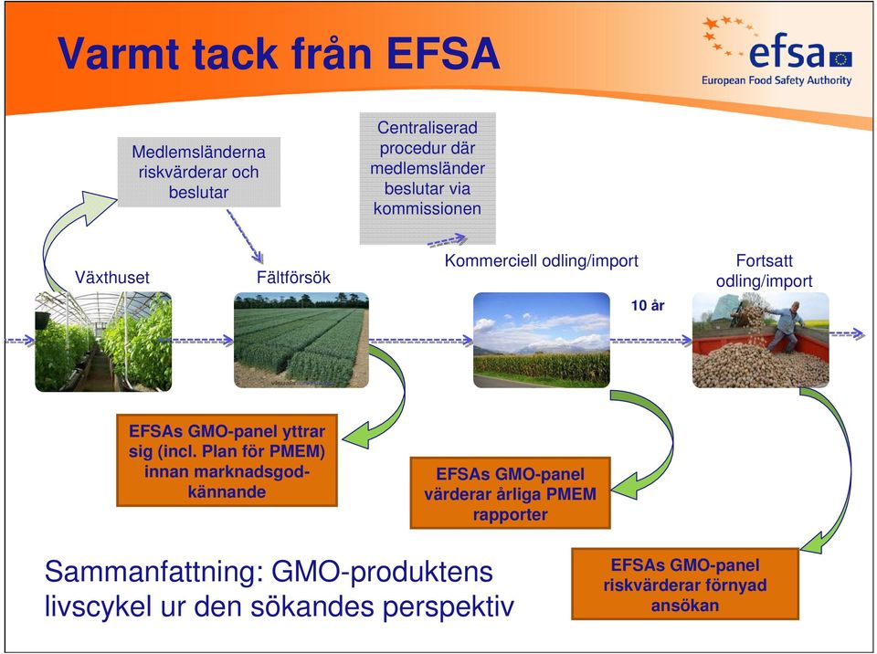 GMO-panel yttrar sig (incl.