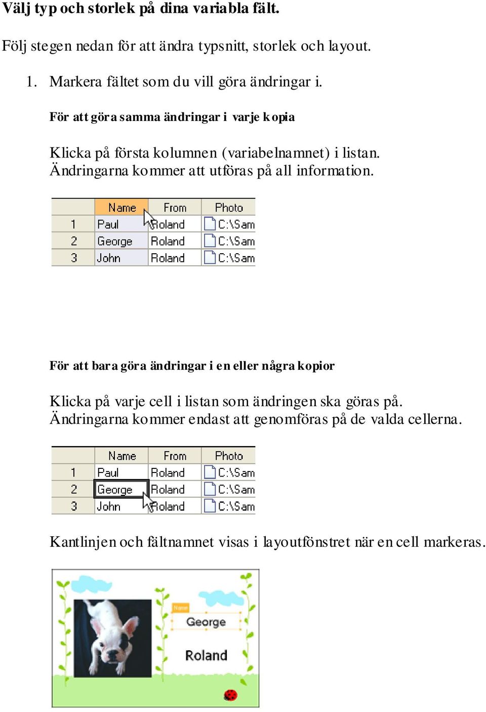 För att göra samma ändringar i varje k pia Klicka på första klumnen (variabelnamnet) i listan.