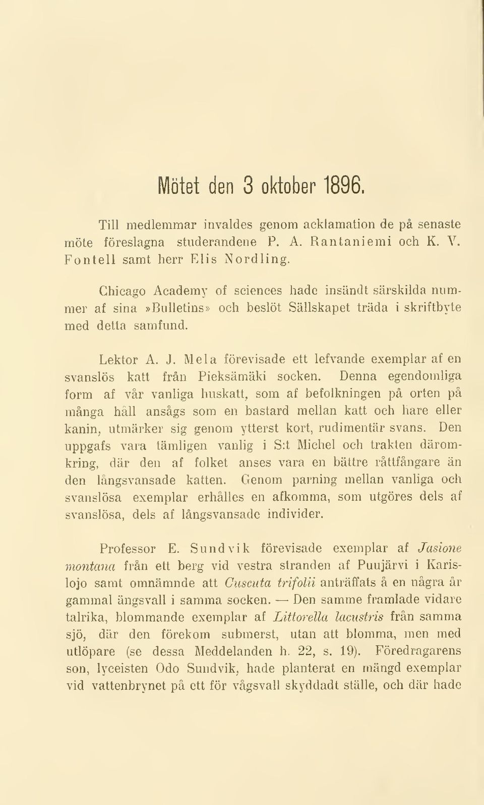 Mela förevisade ett lefvande exemplarafen svanslös katt från Pieksämäki socken.