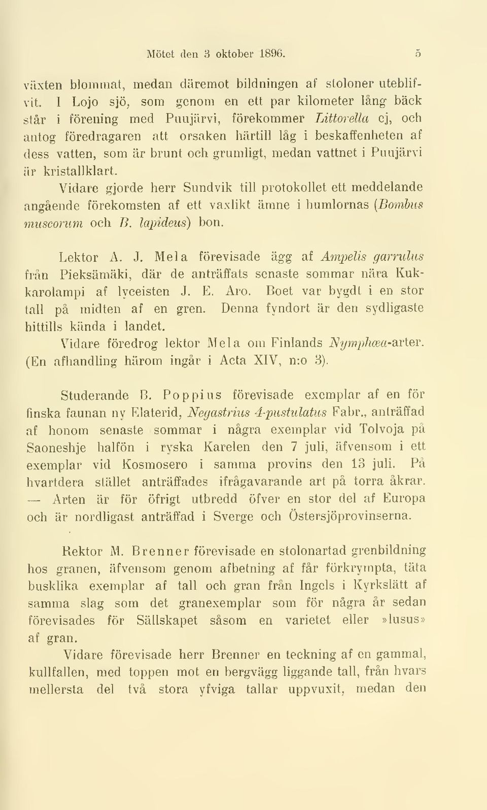 brunt och grumligt, medan vattnet i Puujärvi är kristallklart. Vidare gjorde herr Sundvik till protokollet ett meddelande angående förekomsten af ett vaxlikt ämne i humlornas (Bombus muscorum och B.