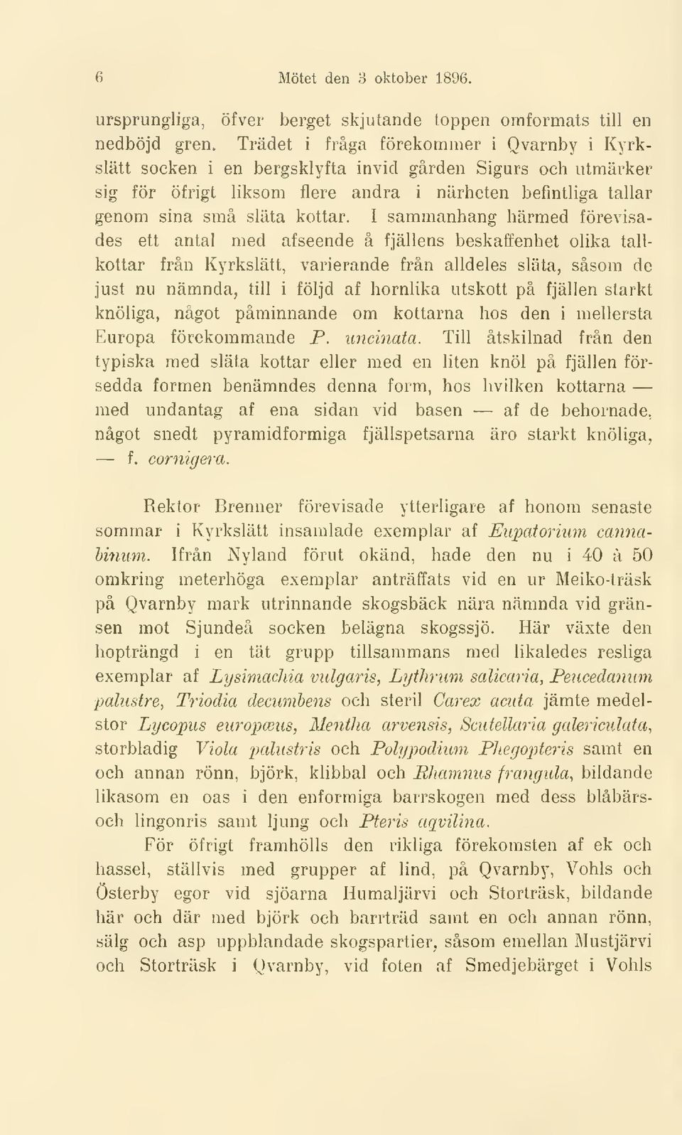 I sammanhang härmed förevisades ett antal med afseende å fjällens beskaffenhet olika tallkottar från Kyrkslätt, varierande från alldeles släta, såsom de just nu nämnda, till i följd af hornlika