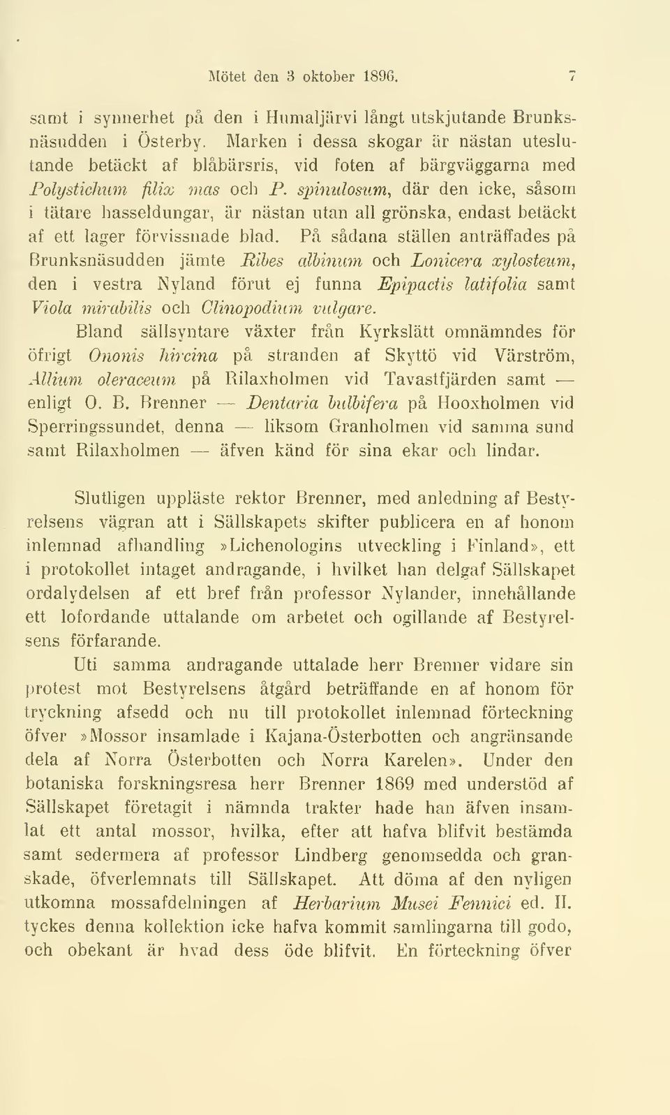 spinulosum, där den icke, såsom i tätare hasseldungar, är nästan utan all grönska, endast betäckt af ett lager förvissnade blad.