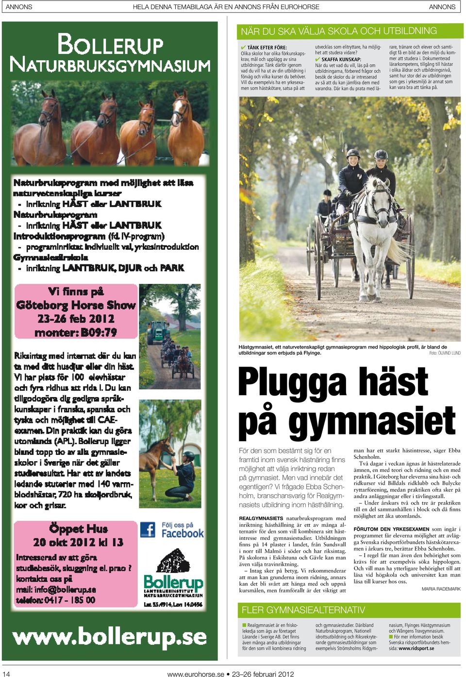 Vill du exempelvis ha en yrkesexamen som hästskötare, satsa på att utvecklas som elitryttare, ha möjlighet att studera vidare?