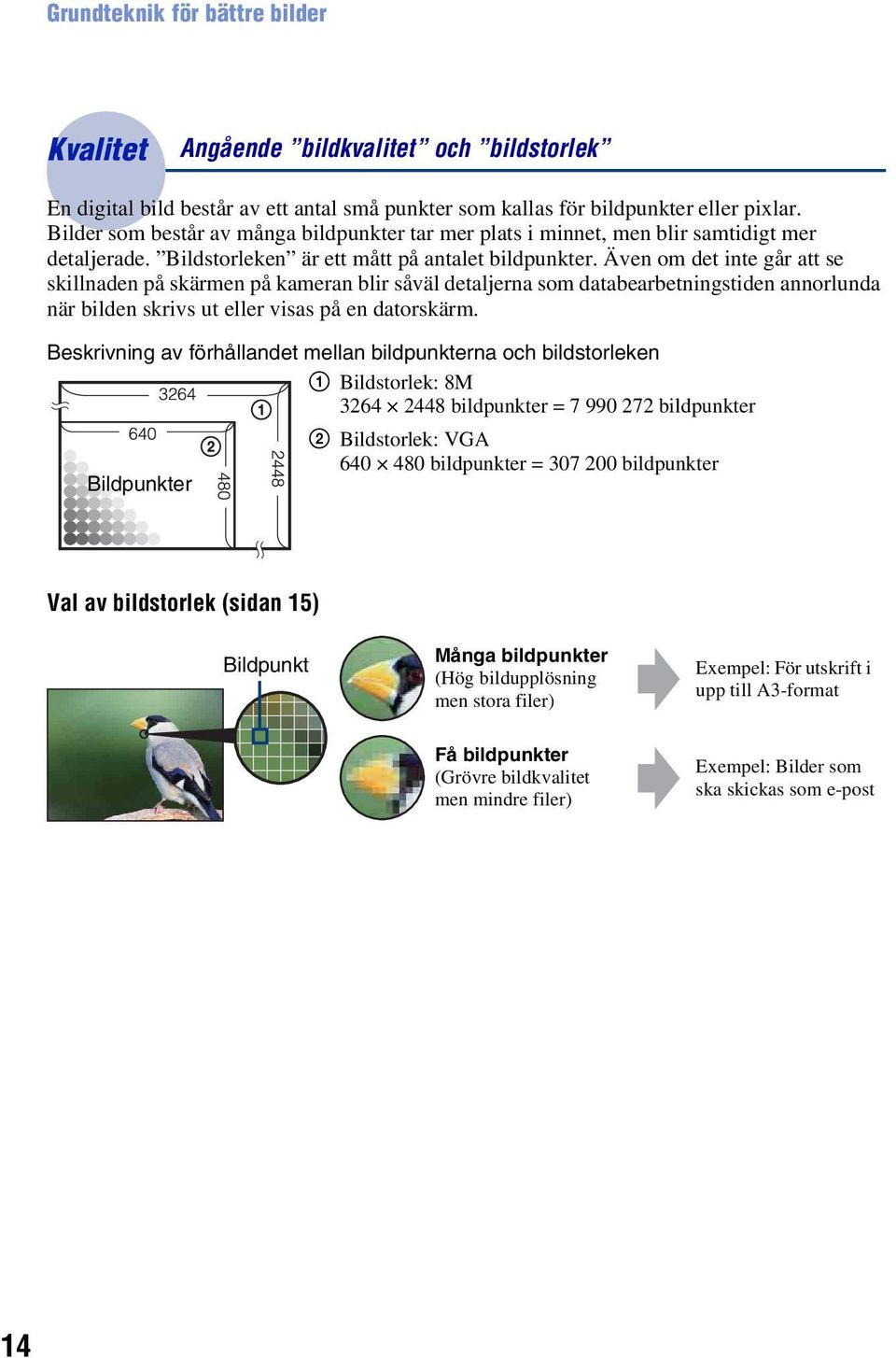 Även om det inte går att se skillnaden på skärmen på kameran blir såväl detaljerna som databearbetningstiden annorlunda när bilden skrivs ut eller visas på en datorskärm.