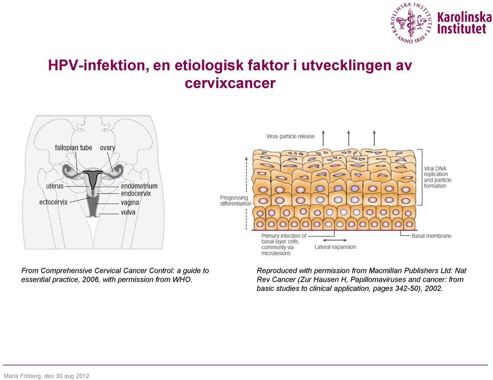 Reproduced with permission from Macmillan Publishers Ltd: Nat Rev Cancer (Zur Hausen H,