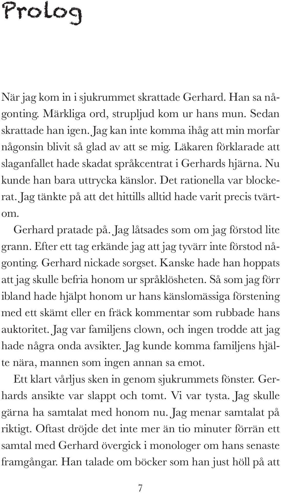 Det rationella var blockerat. Jag tänkte på att det hittills alltid hade varit precis tvärtom. Gerhard pratade på. Jag låtsades som om jag förstod lite grann.