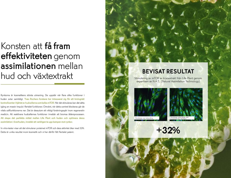 När det stimuleras kan det sätta igång en massiv impuls i flertalet funktioner. Omvänt, när detta centret blockeras går de vitala cellfunktionerna ner.