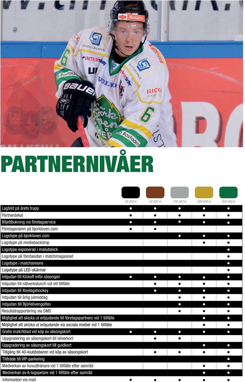 nätverkslunch vd ett tllfälle Inbjudan tll företagshockey Inbjudan tll årlg julmddag Inbjudan tll Björklövengolfen Resultatrapporterng va SMS Möjlghet att skcka ut erbjudande tll företagspartners vd