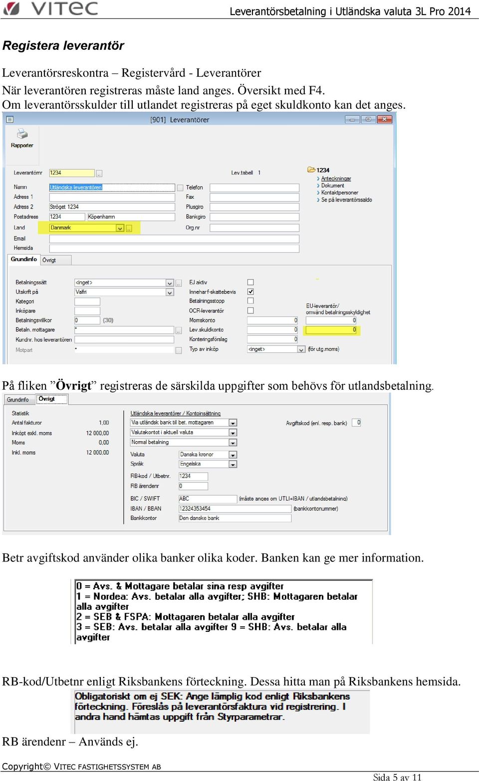 På fliken Övrigt registreras de särskilda uppgifter som behövs för utlandsbetalning.