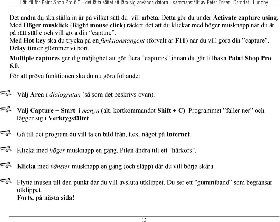 Med Hot key ska du trycka på en funktionstangent (förvalt är F11) när du vill göra din capture. Delay timer glömmer vi bort.